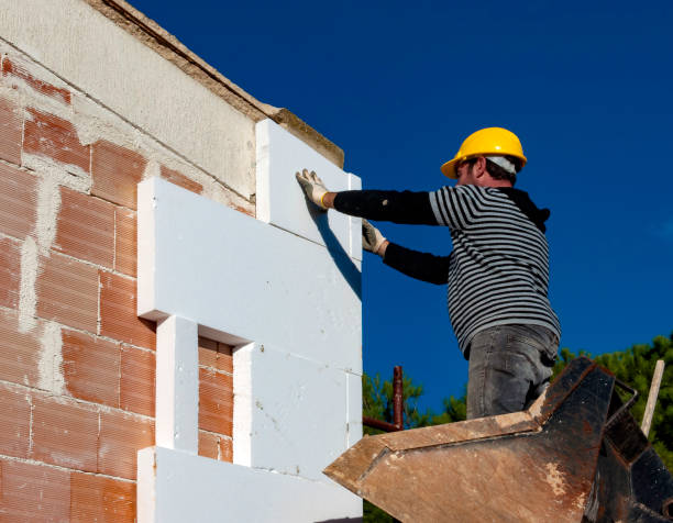 Best Best Insulation Companies  in Laguna Vista, TX