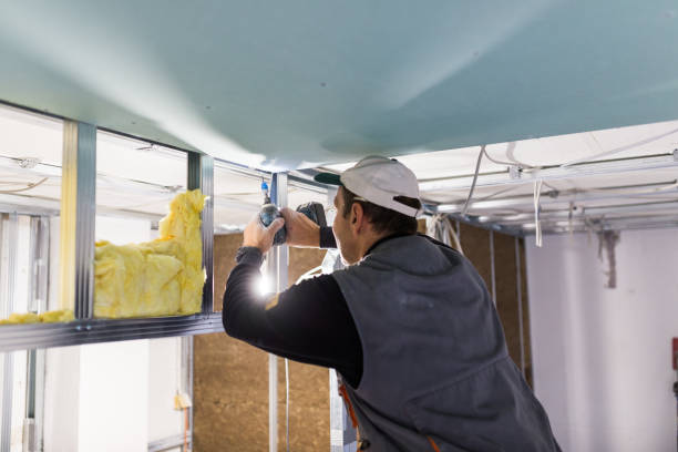 Best Fiberglass Insulation  in Laguna Vista, TX