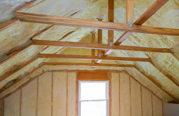 Best Commercial Insulation Contractor  in Laguna Vista, TX