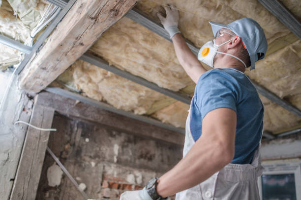 Best Insulation Inspection Services  in Laguna Vista, TX