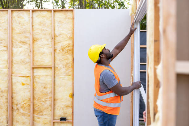 Best Insulation Contractors for Homes  in Laguna Vista, TX