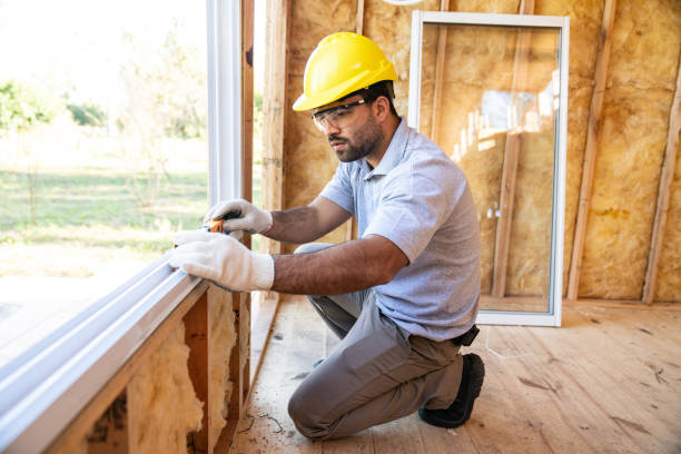 Best Insulation Removal  in Laguna Vista, TX