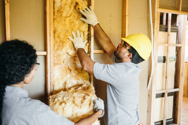 Best Affordable Insulation Services  in Laguna Vista, TX