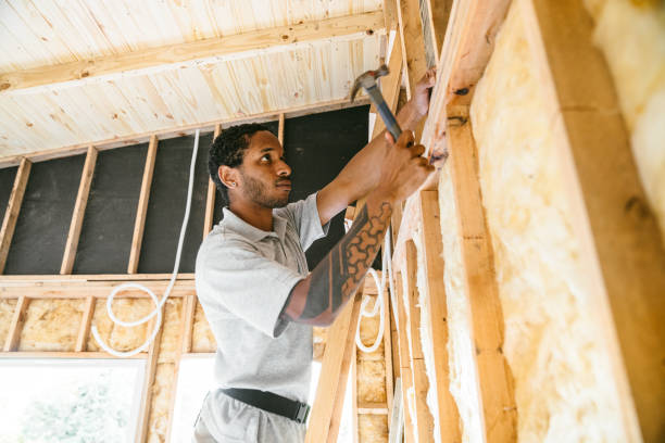 Best Insulation Installation Cost  in Laguna Vista, TX