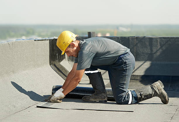 Best Soundproof Insulation Installation  in Laguna Vista, TX