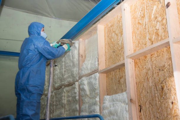 Best Insulation Installation Cost  in Laguna Vista, TX