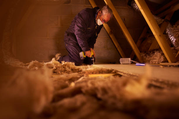 Best Wall Insulation Contractor  in Laguna Vista, TX
